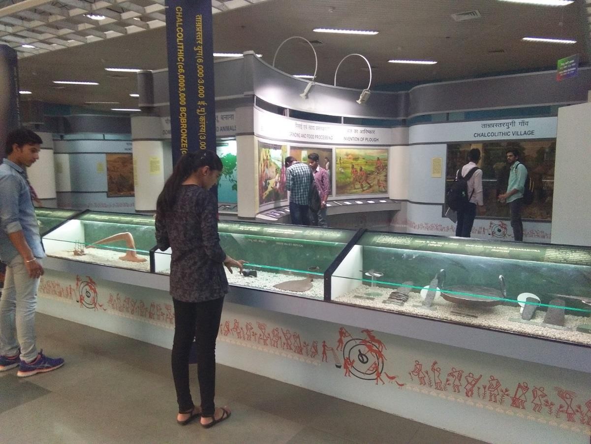 The students observing the ancient agricultural implements 