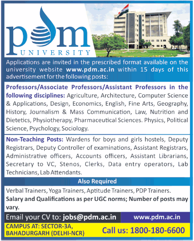 jobs pdm pdm university