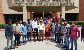B.Sc (Hons.)Agriculture students visit to NBPGR