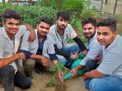 tree plantation pictures_page3_image1