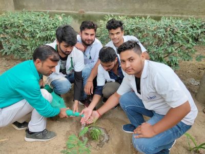 tree plantation pictures_page3_image2 tree plantation pictures_page3_image2