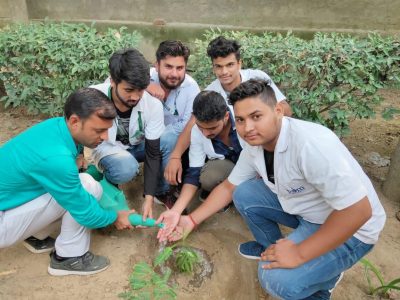 tree plantation pictures_page3_image2