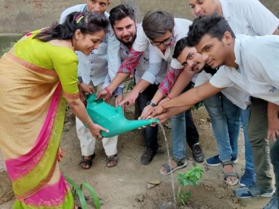 tree plantation pictures_page3_image3