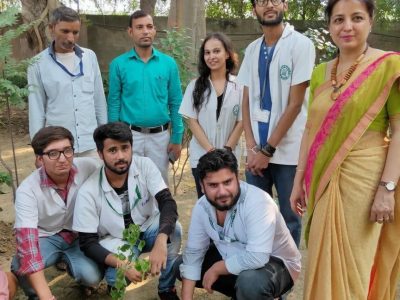 tree plantation pictures_page3_image4 tree plantation pictures_page3_image4